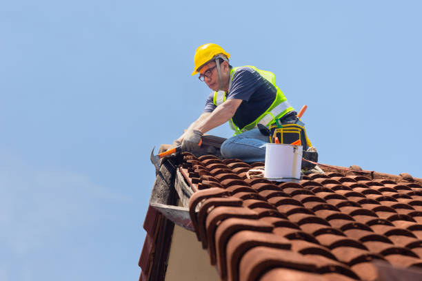 Protech Roofing Solutions